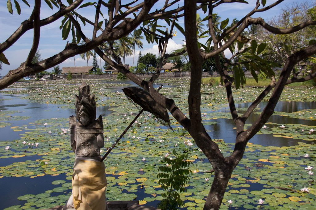 Candidasa Lotuspond East-Bali